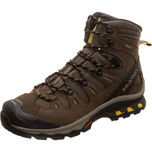 Salomon Quest 4D 3 GTX, Botas de Senderismo para Hombre, Verde, 41 1/3 EU