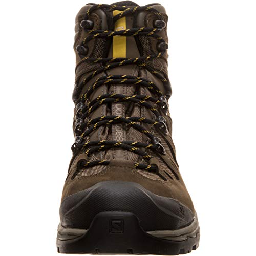 Salomon Quest 4D 3 GTX, Botas de Senderismo para Hombre, Verde, 41 1/3 EU