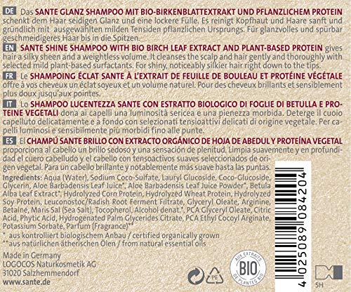 Sante Naturkosmetik Family - Champú con hojas de abedul orgánico y proteína vegetal, vegano, para cabello brillante desde la raíz hasta las puntas, Negro, 200 ml