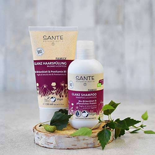 Sante Naturkosmetik Family - Champú con hojas de abedul orgánico y proteína vegetal, vegano, para cabello brillante desde la raíz hasta las puntas, Negro, 200 ml
