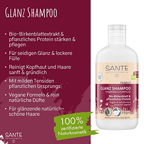 Sante Naturkosmetik Family - Champú con hojas de abedul orgánico y proteína vegetal, vegano, para cabello brillante desde la raíz hasta las puntas, Negro, 200 ml