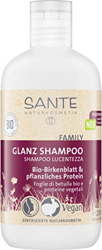 Sante Naturkosmetik Family - Champú con hojas de abedul orgánico y proteína vegetal, vegano, para cabello brillante desde la raíz hasta las puntas, Negro, 200 ml