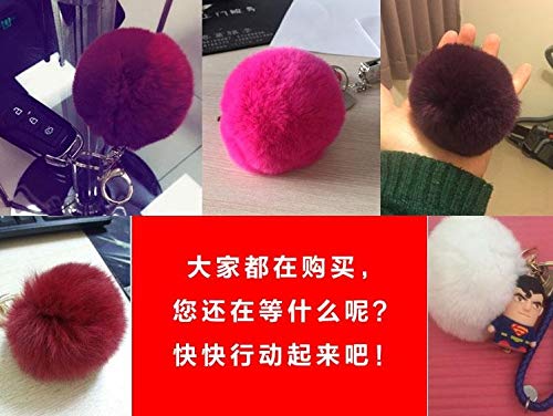 Scrox 1x Llavero de Pelo de Conejo Llavero Colgante Moda Lindo Bola de Pelo Pequeños Cadena de Clave de Regalo para Decoración del Coche/Puerta/Teléfono/Bolsa (Negro)