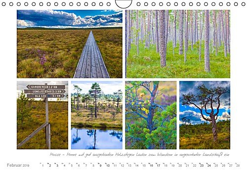 Sehnsucht Schweden - Elche, Natur und Urlaubsträume (Wandkalender 2019 DIN A4 quer): Schwedens große Seen im Süden - auch das Landesinnere bietet viel ... rote Holzhäuser (Monatskalender, 14 Seiten )
