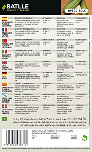 Semillas de Flores - Calabaza Luffa Planta de las Esponjas - Batlle