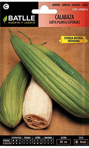Semillas de Flores - Calabaza Luffa Planta de las Esponjas - Batlle