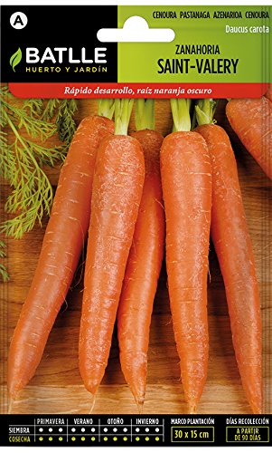 Semillas Hortícolas - Zanahoria Saint Valery muy precoz - Batlle