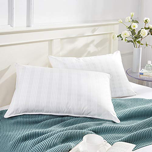 SEPOVEDA Almohadas Suaves Pack de 2, Almohada Antiácaros con Microfibra y Funda de Almohada 100% Algodón, Lavable, 65x50cm