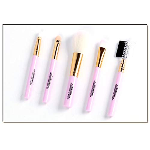 Set de 5 pinceles de maquillaje Set Set de brochas de maquillaje profesional Pinceles de maquillaje Set Premium Synthetic Foundation Brush Blending Face Powder Blush Concealers Kit (Blue)