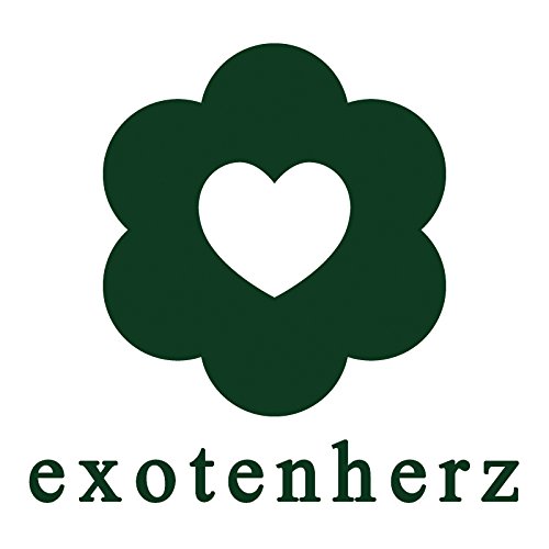 Set de iniciación Plantas carnívoras - 3 plantas