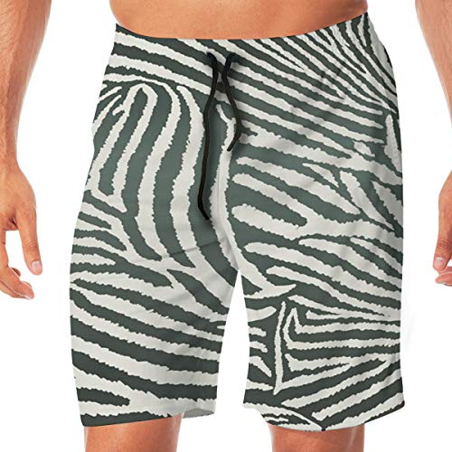 Shorts de Playa Animal Cebra Fondo Transparente Velocidad de Secado rápido Cordón Pantalones Cortos de Verano para Hombres, niños