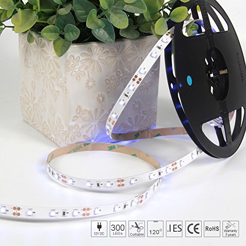 Signcomplex Tira de LED flexible 3528 SMD Cinta de LED con 3M cinta autoadhesiva 5m un carrete 12V DC (Azul)