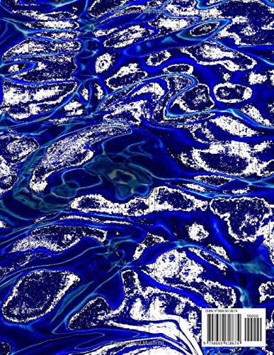 Sketch Book for the Artists: Large Blank Sketchbook for Drawing, Painting, Doodling and Sketching