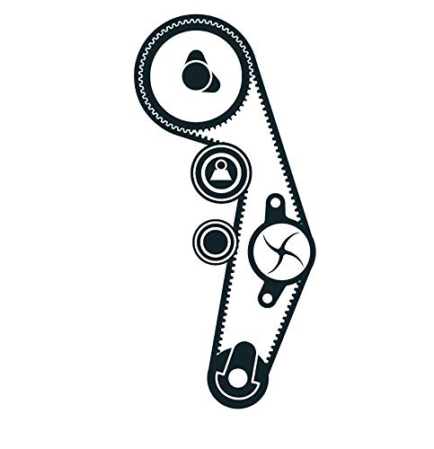 SKF VKMC 01250-2 Kit de distribución con bomba de agua