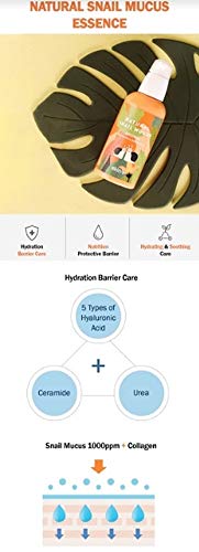 SKIN79 - Natural Snail Mucus Essence, Esencia Facial Hidratante Antiarrugas, 50ml