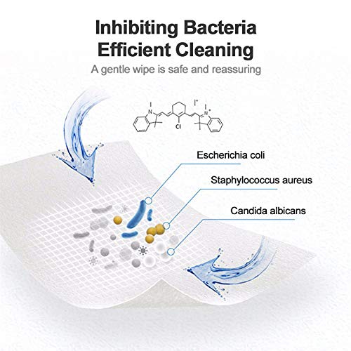 SNOWINSPRING DesinfeccióN Almohadillas AntiséPticas Esponjas de Alcohol Toallitas HúMedas Cuidado de la Limpieza de la Piel Caja de Pa？Uelos de Limpieza de Primeros Auxilios