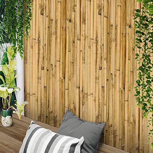 Sol Royal Valla de bambú Protectora SolVision B38 100 x 250 cm (A x L) Estera de privacidad Visual y Viento Natural Balcones terrazas Jardines barandas Cerca con cañas Gruesas
