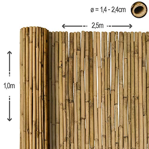 Sol Royal Valla de bambú Protectora SolVision B38 100 x 250 cm (A x L) Estera de privacidad Visual y Viento Natural Balcones terrazas Jardines barandas Cerca con cañas Gruesas