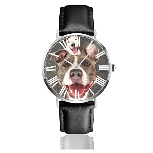 Suger Pitbull - Reloj casual para hombre, correa de piel, color negro