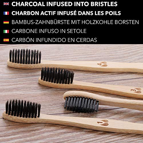 TAKIT Cepillo Dientes Bambu - x2 - Cerdas Medianas Con Carbón Infundido - Bio - Ecológico Y 100% Biodegradable