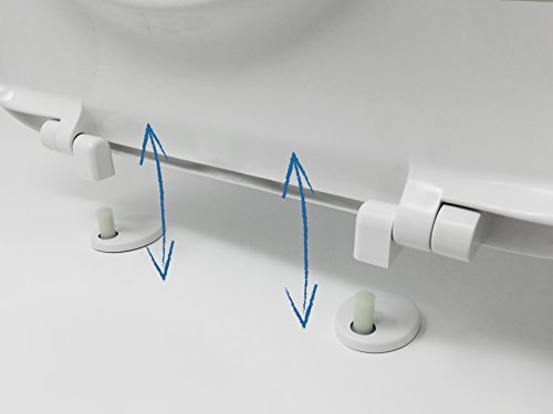 Tapa y asiento de WC blanco con frontal redondo y bisagra ajustable y desprendible