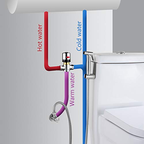 Tecmolog Grifo Bidet Pulverizador Acero Inoxidable Kit Ducha Higienica Duchas Bidet Mano Con Mezclador Termostático Caliente y Fría, WS024F1A