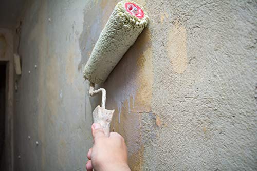 TECPINT IMPRIMACIÓN de Tecno Prodist - (1 Litro) Fijador al Agua sellante e incolora para Pintura en paredes Exterior e Interior - Alto anclaje - (INCOLORA)