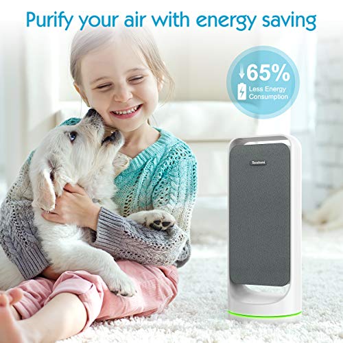 TENDOMI Purificador de Aire Portátil con HEPA para Hogar, WiFi Inteligente Air Purifier, 4 Modos de Purificación, 6 Modos de luz Nocturna, Oficina, Dormitorio, Alergia, Caspas, Polvo, Polen