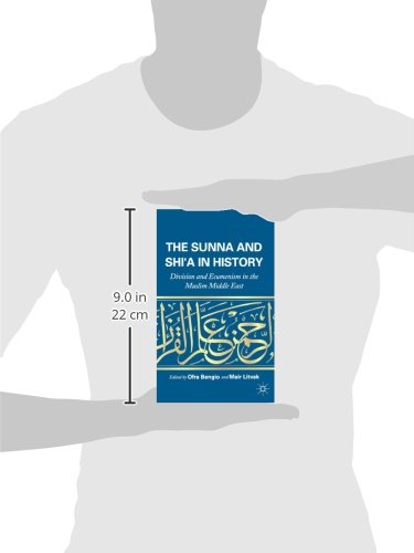 The Sunna and Shi'a in History: Division and Ecumenism in the Muslim Middle East