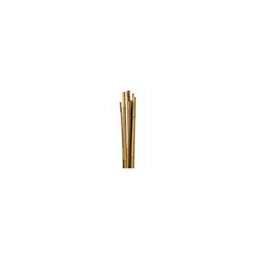 TodoHuertoyJardin - Tutor de caña de bambú 1.5 mts. 12-14 mm