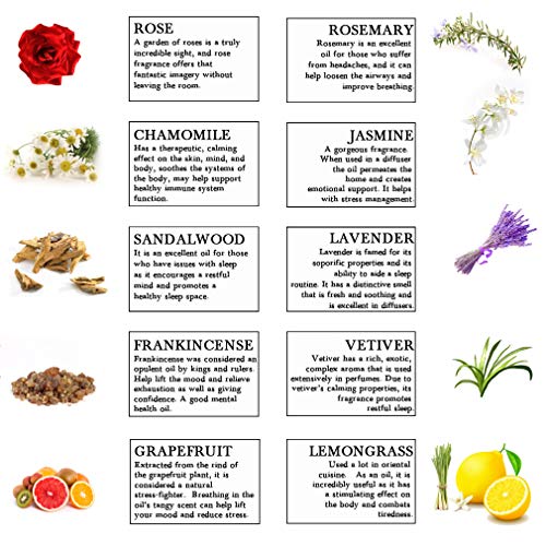 Top 10 Essential Oils Set, 100% Pure Natural Aromatherapy Essential Oil Gift Set(Jasmine, Vetiver,Chamomile, Sandalwood, Frankincense, Rose, Lavender, Rosemary, Lemongrass, Grapefruit)