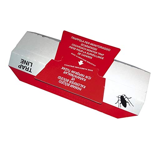 Trap Line - Cartón Adhesivo con Atractivo alimentario y feromona para el Montaje y la Captura de lechadas y Otros Insectos tensos. Paquete de 25 Unidades.