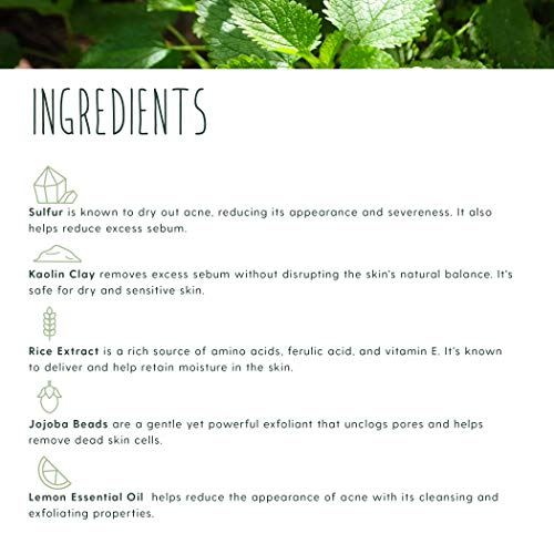 Treeactiv El acné Exfoliante Corporal Tratamiento natural de lavado para la espalda, pecho, hombros y las nalgas del acné Eliminación8 onzas líquidas