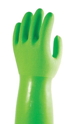 True Blues guantes, verde, tamaño grande