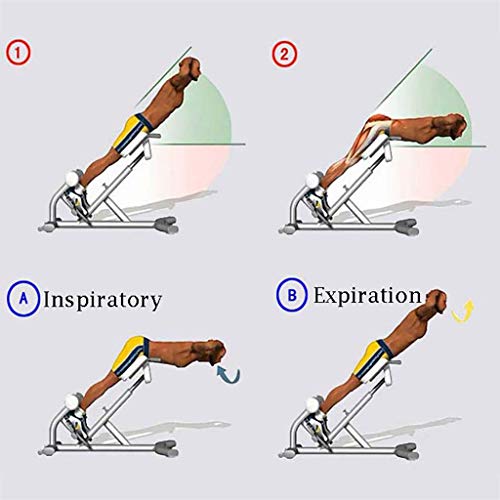 TY-Sit-up board MMM@ Silla Romana Cabras Cintura Delgada Cinturón Tender Volver Entrenador Inicio Máquina Abdominal Equipo de Ejercicios Integral Espesar Ampliación Disposición Segura y cómoda