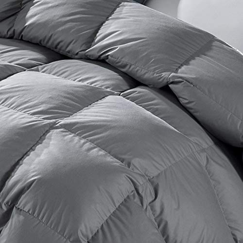 UMI. Essentials - Edredón nórdico de Pluma y plumón de Ganso Blanco con Funda 100% de algodón Impermeable (155X220cm, Gris-Cuatro Estaciones)