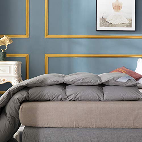 UMI. Essentials - Edredón nórdico de Pluma y plumón de Ganso Blanco con Funda 100% de algodón Impermeable (155X220cm, Gris-Cuatro Estaciones)