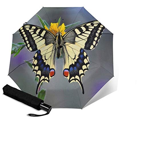 UNUStyle Paraguas Plegable Auto Creativo Único Selección De Mariposa Patrón De Miel Mango Esmerilado A Prueba De Viento Anti-UV Lluvia Reverse Parasol Viajes Moda Ergonómico Compacto Portátil Regalo