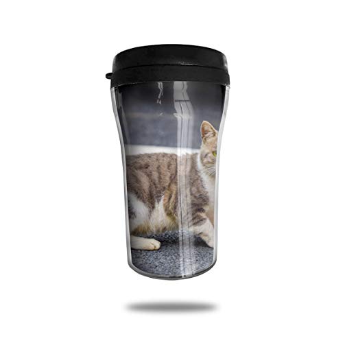 Urban Road - Taza de café reutilizable con diseño de gato callejero a prueba de fugas, resistente a las fugas, para viajes y senderismo