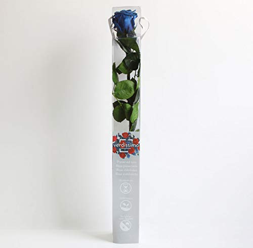 Verdissimo Rosa Preservada en Estuche de Regalo