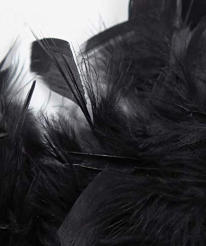 VHDJ Halloween Niño Pluma Negra Alas de diablillo Adornos de Disfraces para Adultos Negro