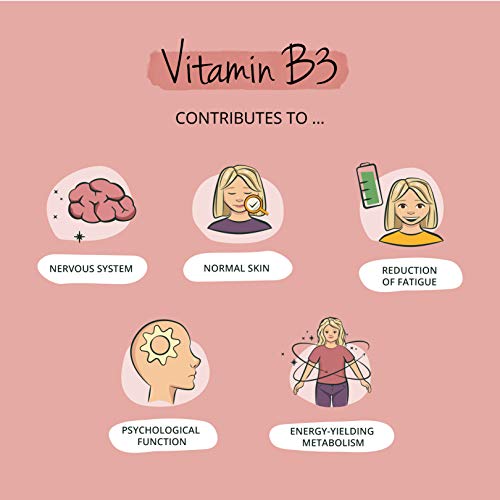 Vitamina B3 Vegavero® | Sin Aditivos | Apta Para Veganos | 500 mg | Nicotinamida | Metabolismo Energético + Cansacio y Fatiga + Sistema Nervioso | 180 Cápsulas