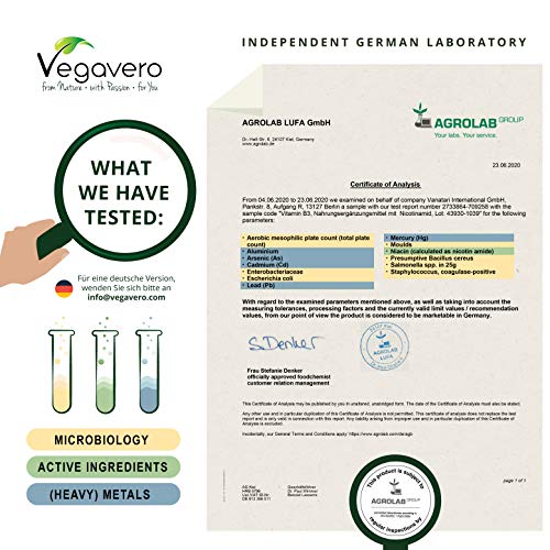Vitamina B3 Vegavero® | Sin Aditivos | Apta Para Veganos | 500 mg | Nicotinamida | Metabolismo Energético + Cansacio y Fatiga + Sistema Nervioso | 180 Cápsulas