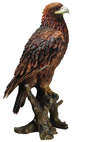Vivid Arts XRL-GDEG-B Resina Ornamento águila Real
