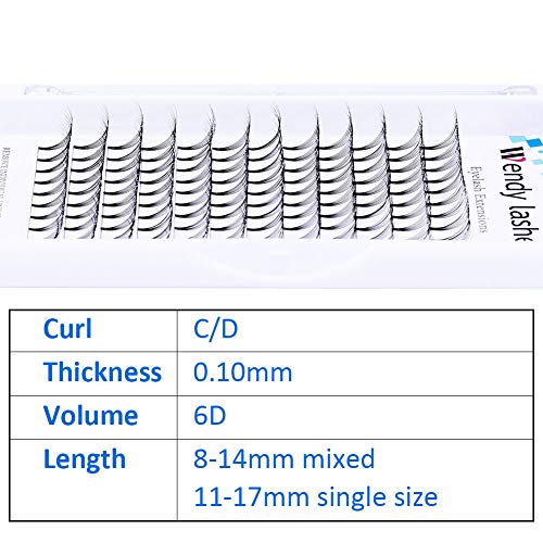 Volumen de Pestañas Rusas 6D 0.10mm D Curl 14mm Extensiones de Pestañas Prefabricados Extensiones de Pestañas Premade Volume Lashes Extension
