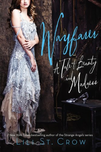 Wayfarer: A Tale of Beauty and Madness (Tales of Beauty and Madness Book 2) (English Edition)