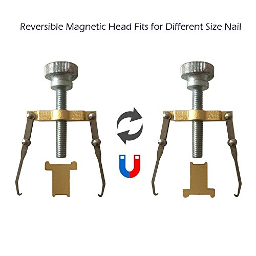 WeeDee - Uñas Encarnadas Corrector, Pedicura Tratamiento Para Defecto De Crecimiento De Las Uñas Paronychia Ingrown Toenail