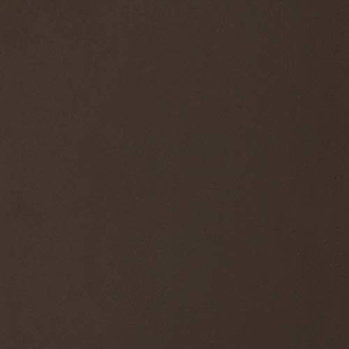 Westinghouse Lighting Bronce aceitado Westinghouse iluminación 63435 Aplique para Interiores Iron Hill de un Solo Brazo, Acabado Reflejos