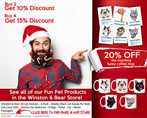 Winston & Bear - Adhesivos para pared de gato de pelo corto, color blanco, 2 unidades, diseño de gato blanco de ojos azules para paredes, coches, inodoros y más, paquete al por menor