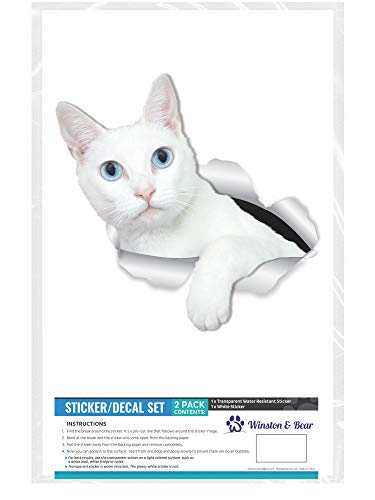 Winston & Bear - Adhesivos para pared de gato de pelo corto, color blanco, 2 unidades, diseño de gato blanco de ojos azules para paredes, coches, inodoros y más, paquete al por menor